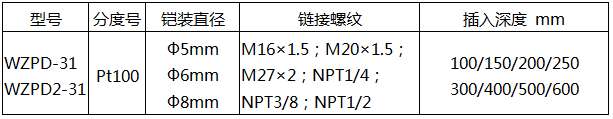 軸承熱電阻WZPD-31技術參數(shù)