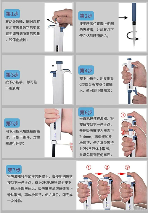 用移液槍轉移液體